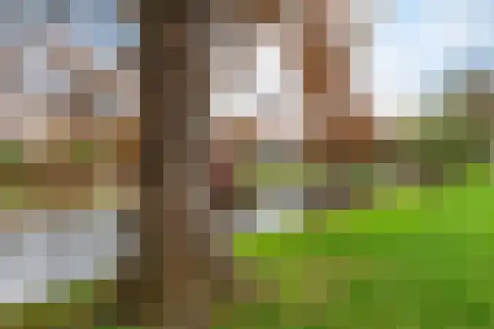 Meelbeslaan 6 Amstelveen thumbnail 40