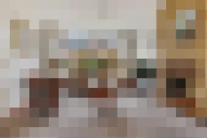 Meelbeslaan 6 Amstelveen thumbnail 5