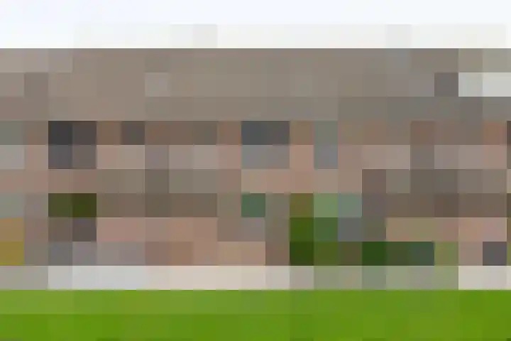 Meelblok 11 Zuidland thumbnail 10