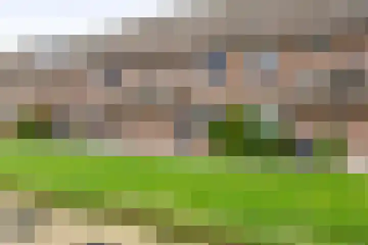 Meelblok 11 Zuidland thumbnail 11