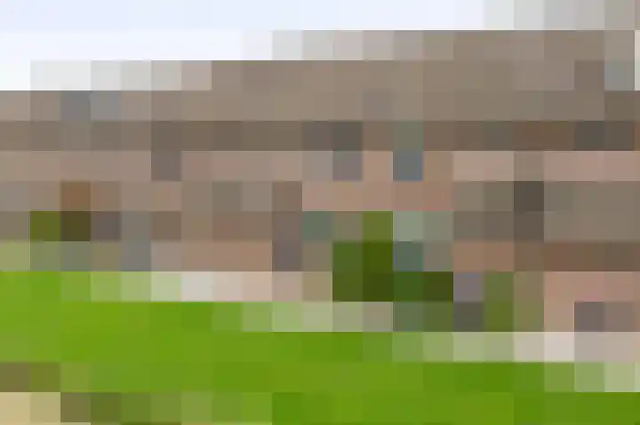 Meelblok 11 Zuidland thumbnail 12