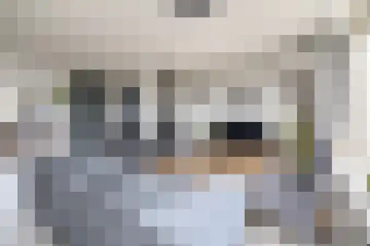 Meelblok 11 Zuidland thumbnail 16