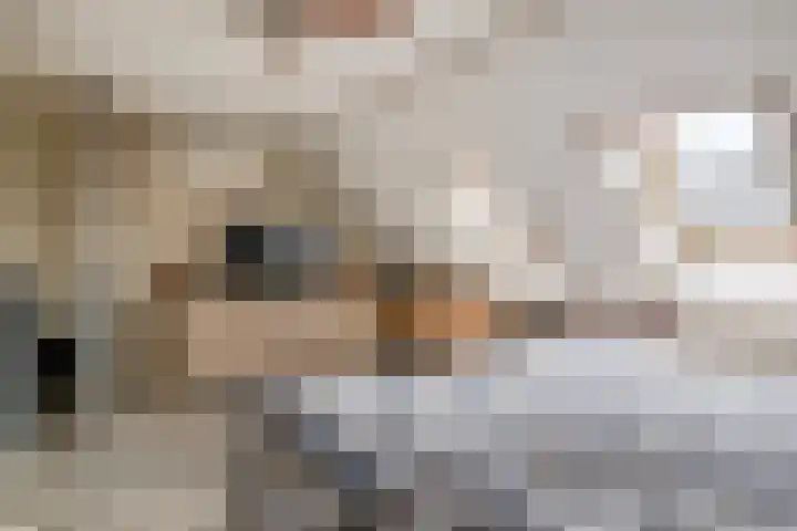Meelblok 11 Zuidland thumbnail 22