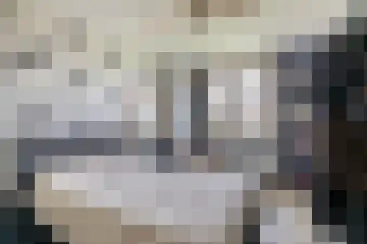 Meelblok 11 Zuidland thumbnail 23
