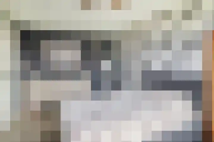 Meelblok 11 Zuidland thumbnail 24