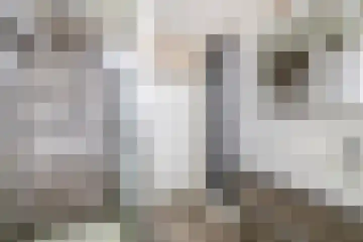 Meelblok 11 Zuidland thumbnail 25