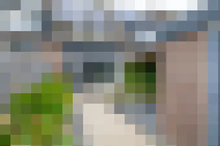 Meelblok 11 Zuidland thumbnail 33