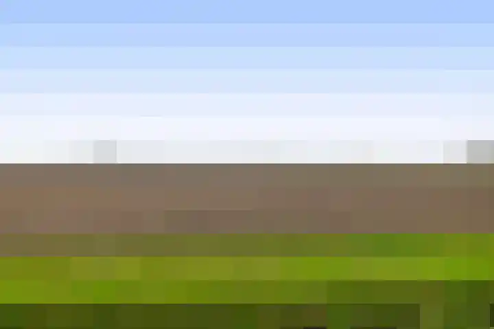 Meelblok 11 Zuidland thumbnail 35