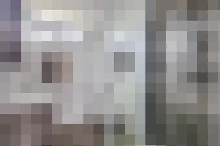 Meelblok 11 Zuidland thumbnail 4