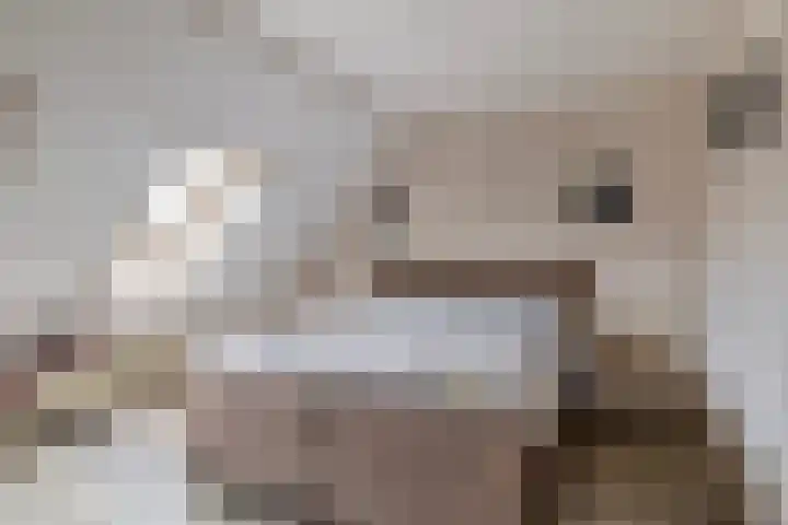 Meelblok 11 Zuidland thumbnail 5