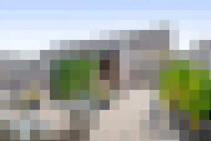 Meelblok 11 Zuidland thumbnail 6