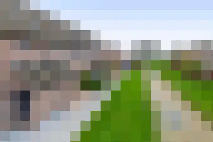 Meelblok 11 Zuidland thumbnail 8