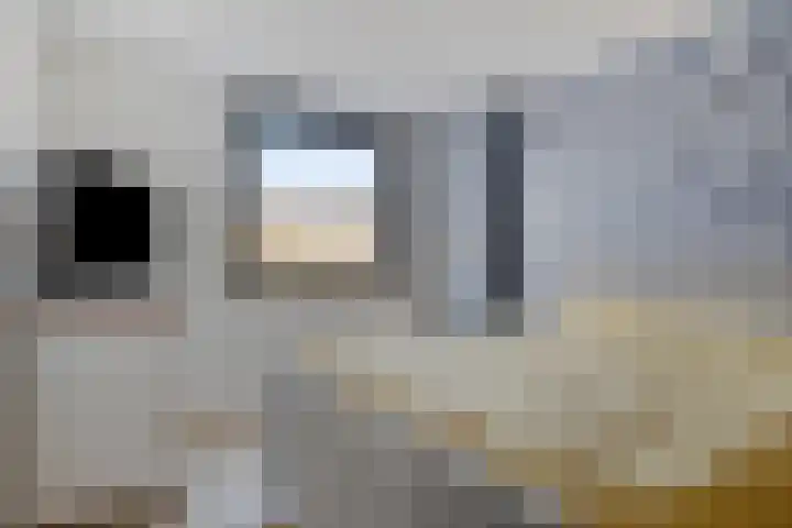 Meelblok 9 Zuidland thumbnail 11