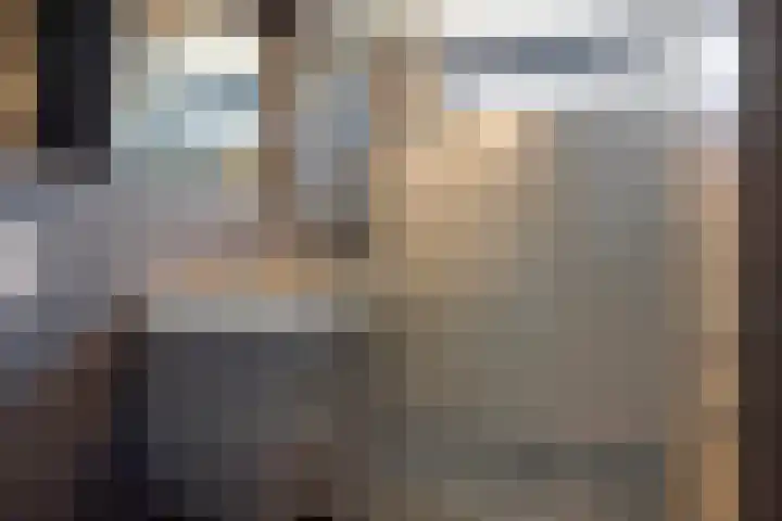 Meelblok 9 Zuidland thumbnail 13