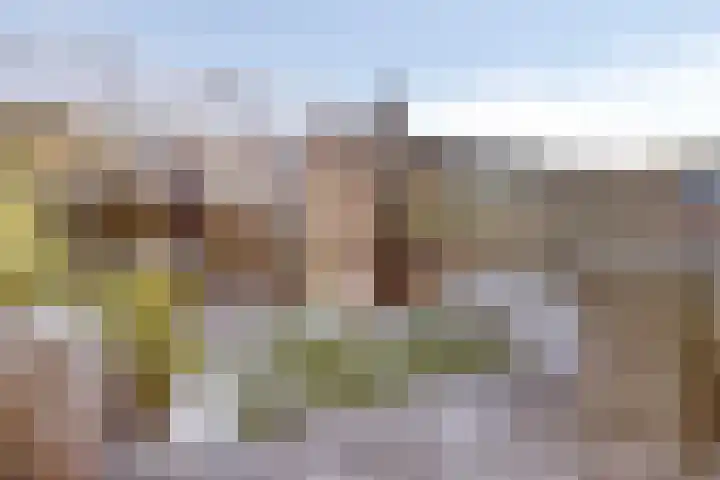 Meelblok 9 Zuidland thumbnail 20