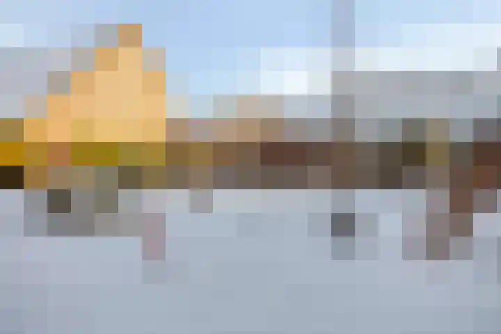 Meelblok 9 Zuidland thumbnail 24