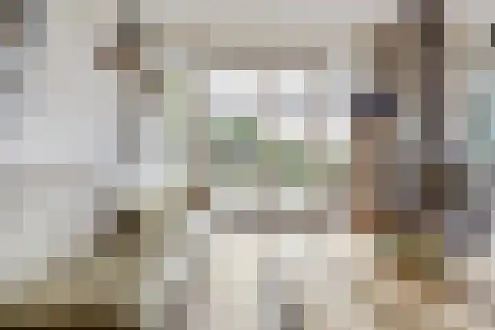 Meeldijk 15 Spijkenisse thumbnail 10