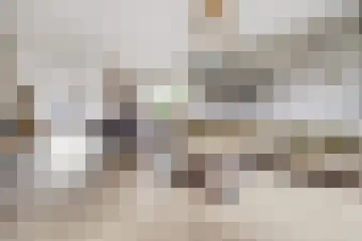 Meeldijk 15 Spijkenisse thumbnail 13
