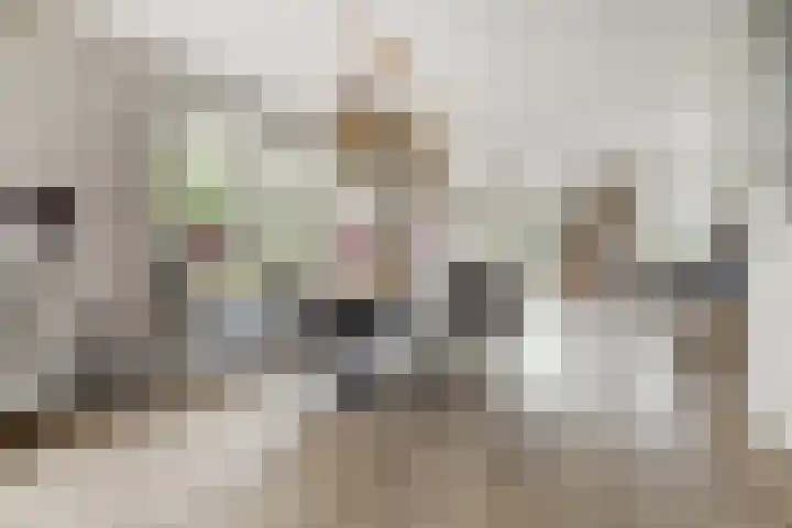 Meeldijk 15 Spijkenisse thumbnail 14