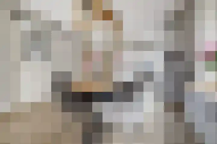 Meeldijk 15 Spijkenisse thumbnail 15