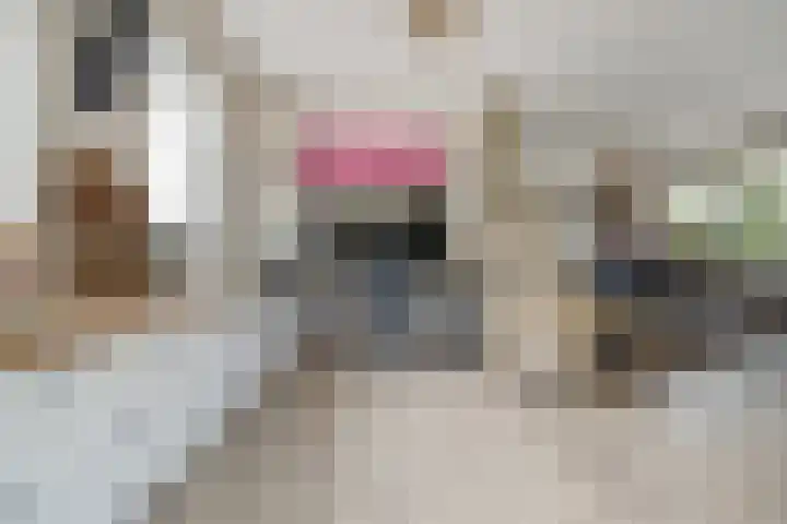Meeldijk 15 Spijkenisse thumbnail 19