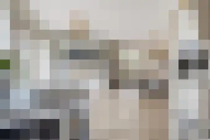 Meeldijk 15 Spijkenisse thumbnail 24