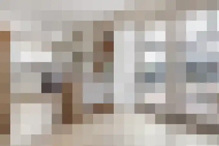 Meeldijk 15 Spijkenisse thumbnail 25