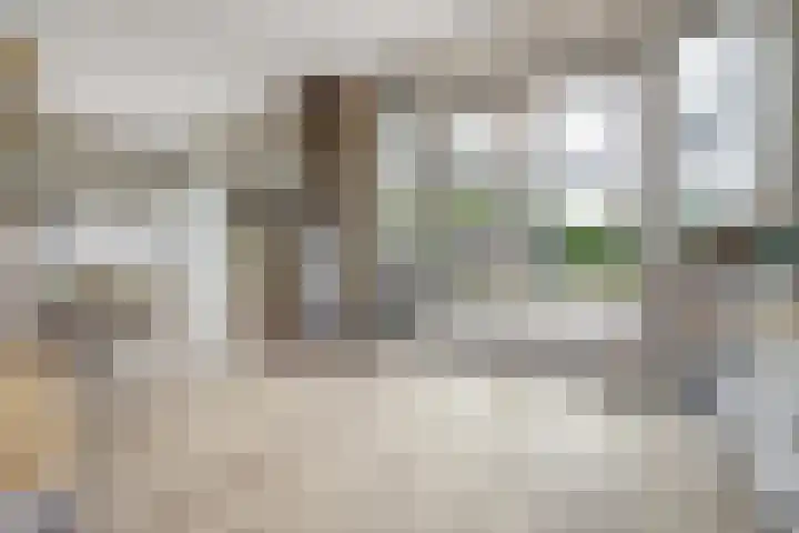 Meeldijk 15 Spijkenisse thumbnail 26