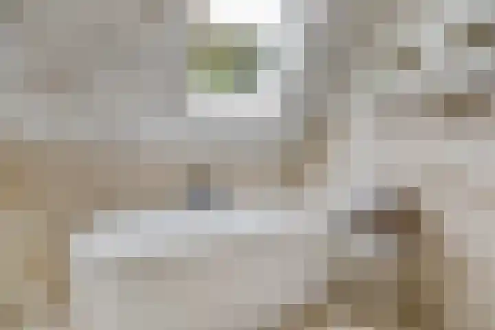 Meeldijk 15 Spijkenisse thumbnail 30