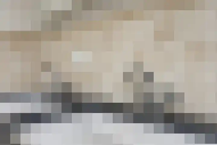 Meeldijk 15 Spijkenisse thumbnail 32