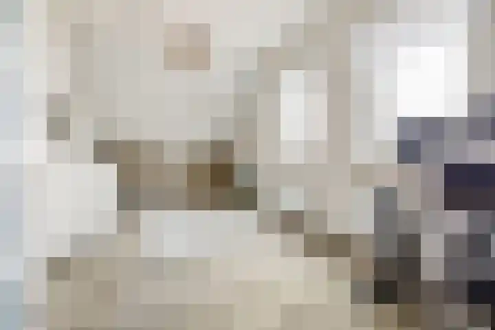 Meeldijk 15 Spijkenisse thumbnail 36