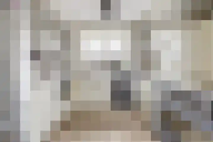 Meeldijk 15 Spijkenisse thumbnail 4