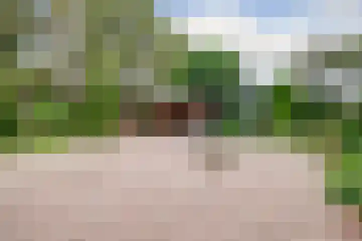 Meeldijk 15 Spijkenisse thumbnail 40