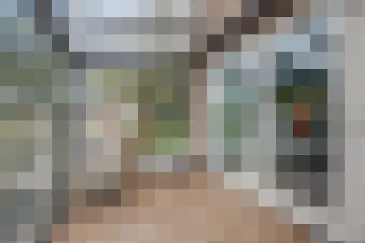 Meeldijk 15 Spijkenisse thumbnail 43