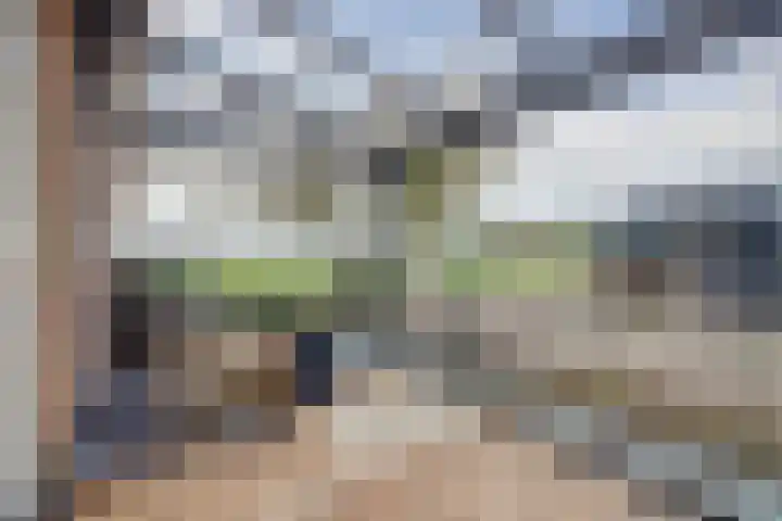 Meeldijk 15 Spijkenisse thumbnail 44