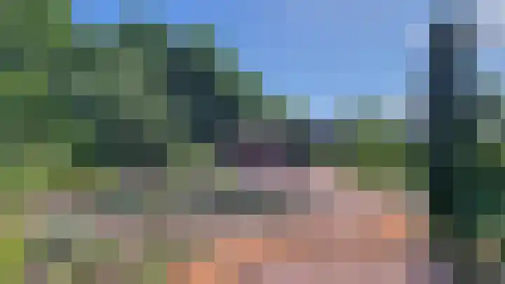 Meeldijk 15 Spijkenisse thumbnail 45