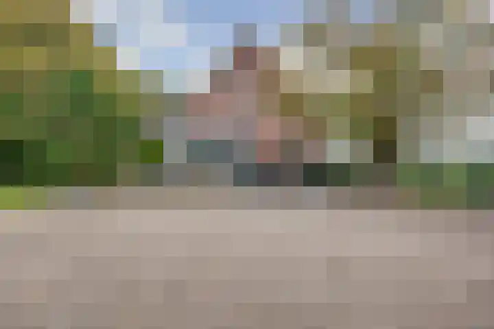 Meeldijk 15 Spijkenisse thumbnail 46