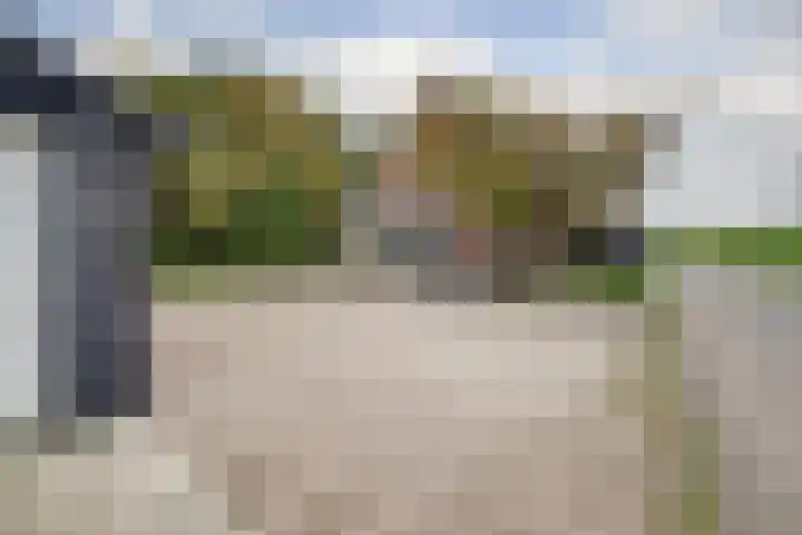 Meeldijk 15 Spijkenisse thumbnail 47