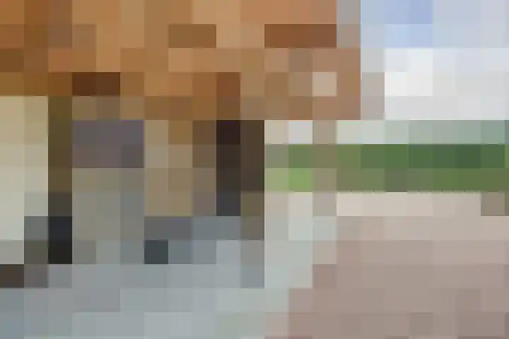 Meeldijk 15 Spijkenisse thumbnail 48