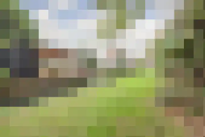 Meeldijk 15 Spijkenisse thumbnail 54