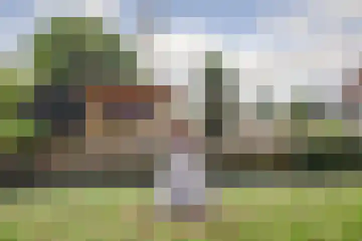 Meeldijk 15 Spijkenisse thumbnail 55