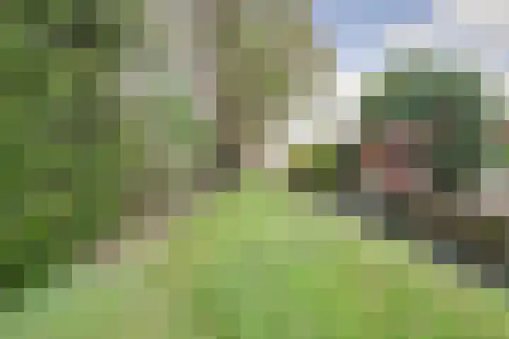 Meeldijk 15 Spijkenisse thumbnail 56