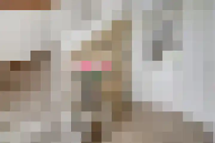 Meeldijk 15 Spijkenisse thumbnail 6