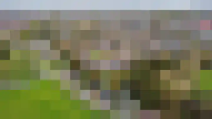 Meeldijk 15 Spijkenisse thumbnail 61