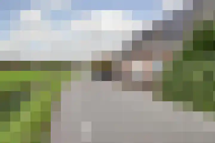 Meeldijk 15 Spijkenisse thumbnail 67