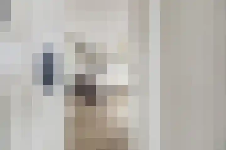 Meeldijk 15 Spijkenisse thumbnail 7
