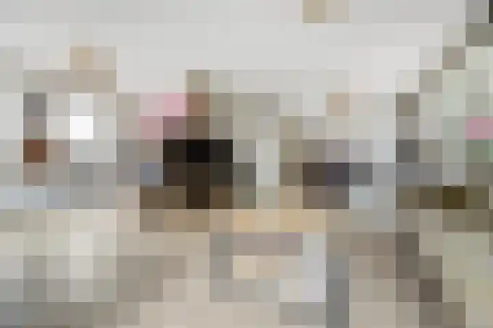 Meeldijk 15 Spijkenisse thumbnail 8