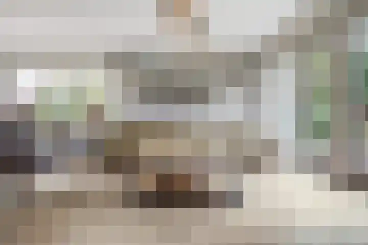 Meeldijk 15 Spijkenisse thumbnail 9