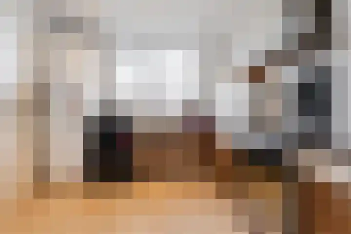Meeldijk 20 Spijkenisse thumbnail 11