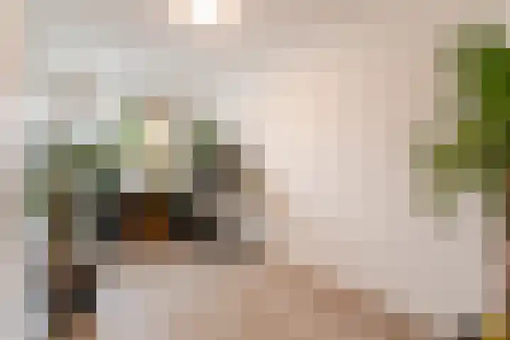 Meeldijk 20 Spijkenisse thumbnail 19
